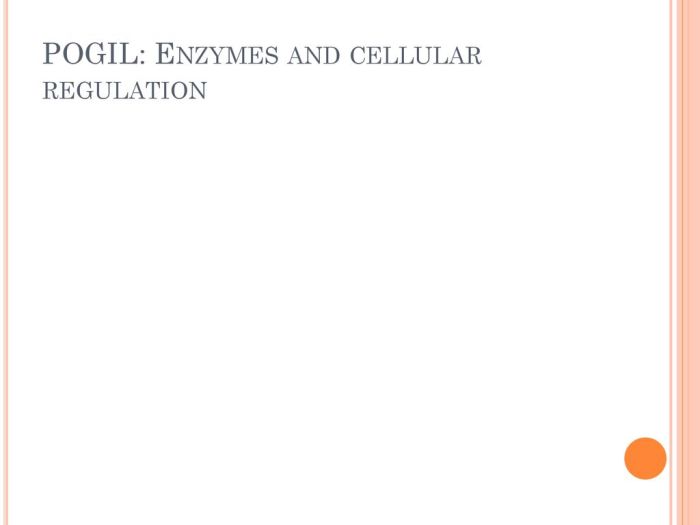 Enzymes and cellular regulation pogil