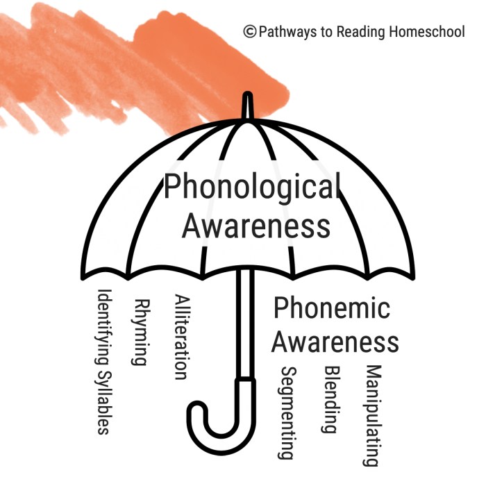 Phonological and print awareness scale