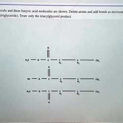 Butyric glycerol molecule acid three molecules atoms necessary bonds delete shown form add tr homeworklib