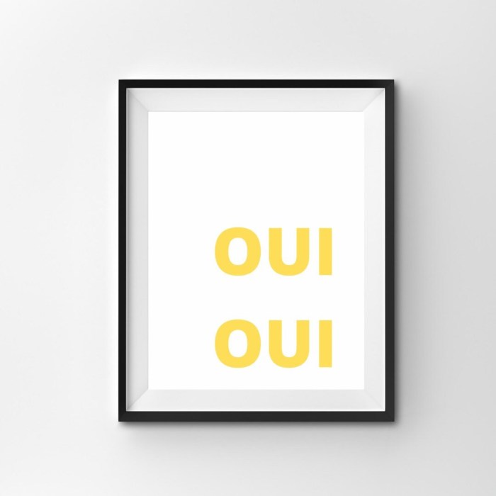 Opposite of oui in french