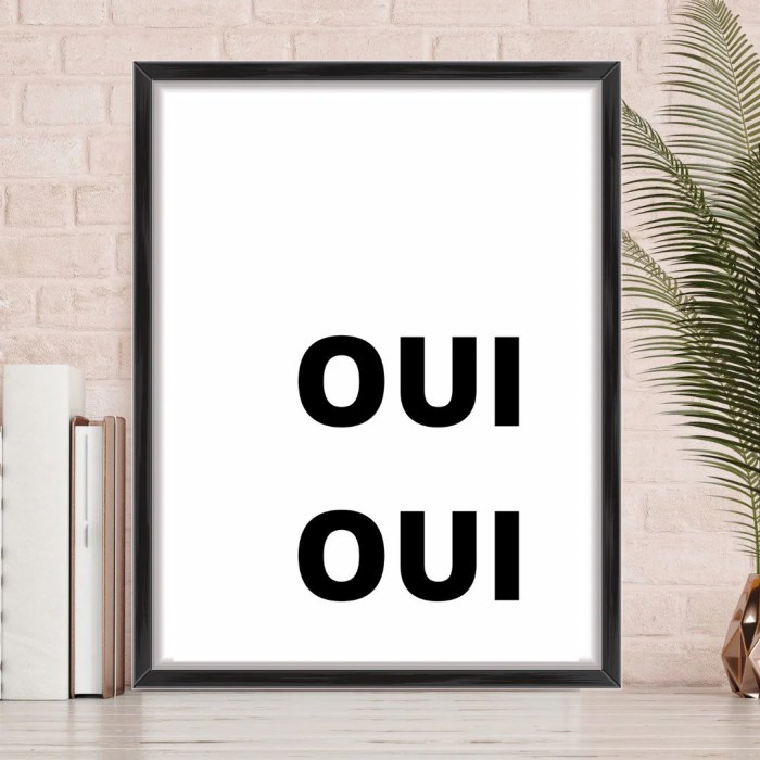 Opposite of oui in french