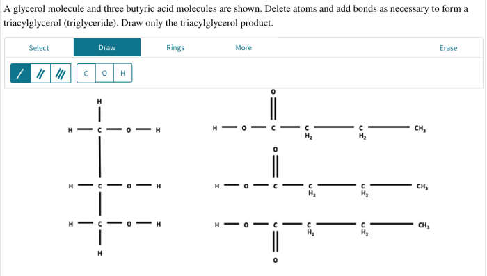 A glycerol molecule and three butyric