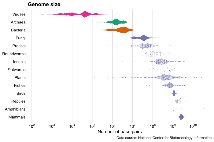 Select the correct statement s about genome size and density