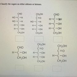 Sugars aldoses classify correct transcribed