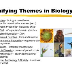 Chapter 1 evolution the themes of biology and scientific inquiry