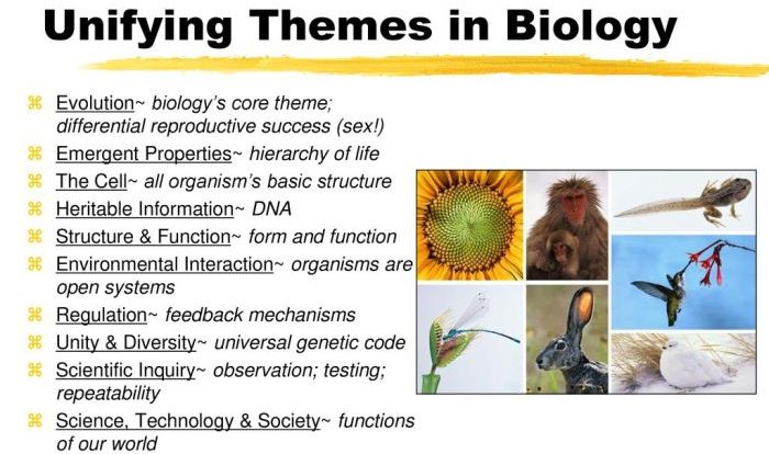 Chapter 1 evolution the themes of biology and scientific inquiry