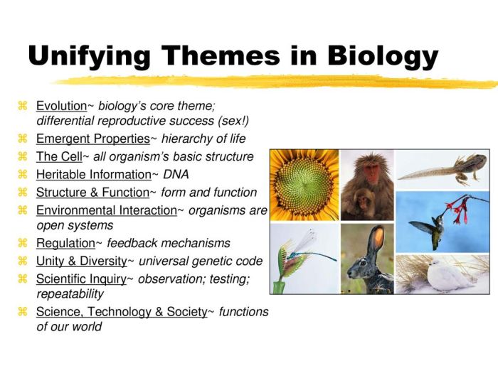 Chapter 1 evolution the themes of biology and scientific inquiry