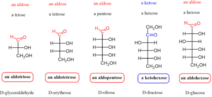 Classify sugars aldoses slidesharetrick aldo estion